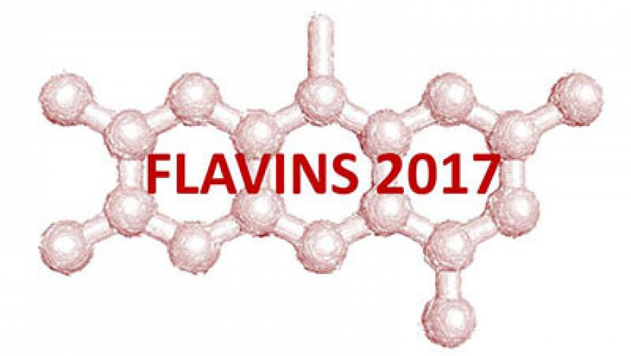 19th International Symposium on Flavins and Flavoproteins
July 2-6, 2017, Groningen, The Netherlands